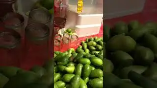 Refreshing lemon soda/lemon juice #shorts #tiktok #viral #hot #streetfoodbd #trending #best #refresh