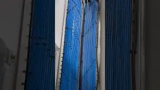 Electrical DB dressing #shortvideo #electrical
