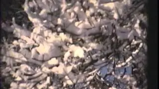 White Lace - Bill Meyer