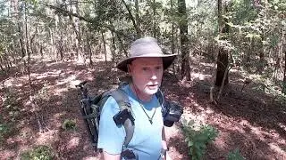 Shay Branch Headwater Trail at Blakeley State Park