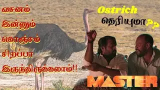 OSTRICH THERYUMA | OSTRICH VS KIWI EGG | FACT ABOUT OSTRICH