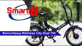 Велогибрид Wellness City Dual 700 -smart8 by