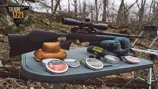 NEW Evanix Air Speed .25 cal Semi-Automatic