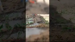 village farming mini idea