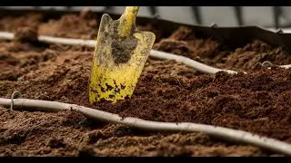 Soil Structure Development in Pelosols (Vertic Cambisols) of South-West Germany: A Brief Overview