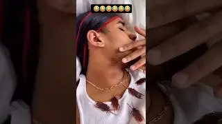 L'ARAIGN&Eacute;E du D&Eacute;MON ! 🤣🕷