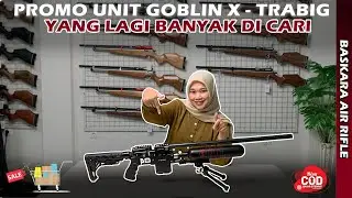 GOBLIN X -TRABIG 500 CC PROMOTION, A UNIT THAT IS CURRENTLY SEARCHED FOR