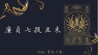 廉貞七殺坐命丑未 - 路上埋屍? 你埋人還是人埋你?(有字幕) - Amber．紫微斗數