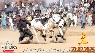 کیا آپ تیار ہے ۔پاکستان کی سب سے بڑی بیل دوڑ لنڈ اٹک دیکھنے کیلے تیارھیں ؟ |!!! BULL POWERS