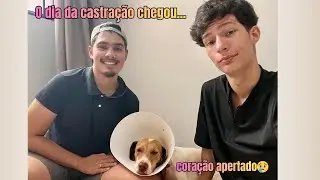 Vlog: levando Buddy e Luna pra castrar | dia tenso😢🐾