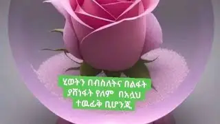 Kedija hassen you tube is liveሠላም እንዴት አመሻችሉ ቤተሠብ