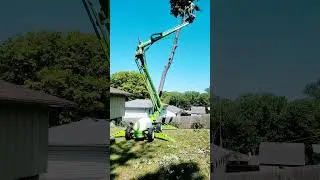 Tree Removal Kansas City #treeremovalservice