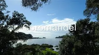 DISCOVER COROMANDEL WITH LOUIS SHEPHERD