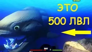 ПРОКАЧАЛ BROWURAG ДО 500 УРОВНЯ Feed and Grow Fish