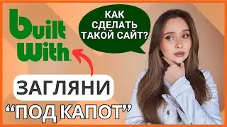 Как скопировать структуру успешного сайта &mdash; без программирования с помощью BuiltWith