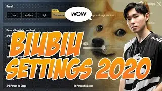 BiuBiu's 2020 PUBGM settings | PUBGM