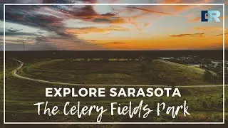 Explore Sarasota: The Celery Fields Park