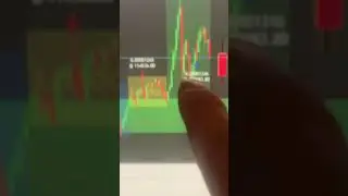 #trader #trading #notfinancialadvice #bitcoin #stockmarket