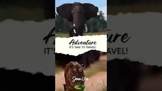 Plan your travel now with Wildcatch! #wildcatch #wildcatchtrip
