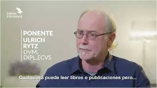 Cirurgia de Pequenos Animais | GPCert in Small Animal Surgery