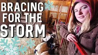 ❄3 Tips To Keep Your Animals Warm In The Winter❄ + BARN VLOG 🐐
