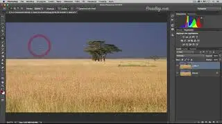 8-5 Lo strumento Riempi in Base al contenuto di Photoshop