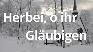Herbei o ihr Gläubigen (EG45, GL241) - zum Mitsingen mit Text