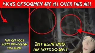 DOGMEN спускаются по HLL в лес и поле! Основные моменты прямой трансляции.