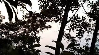 Pesona Negeri di Atas Awan (Bukit Kediwung) dilihat dari Alas Nolagi Yogyakarta
