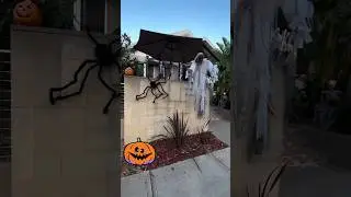 Halloween 2024 Home Decor🎃🎃#shorts #cat #kitten #cute kitten #cute