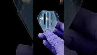 Waldent Maxbite Intraoral Lighting | Rechargeable Oral Care Solution