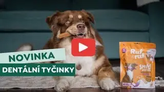 🦷✨Rufruf/NOVINKA dent&aacute;ln&iacute; tyčinky pro va&scaron;e chlupat&eacute; kamar&aacute;dy 🪥🐶