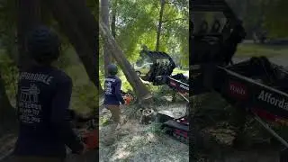 Tree Removal #chainsaw #outdoors #equipment uipment