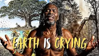 🌴EARTH IS CRYING&ndash; Conscious Reggae Song | Spiritual Roots & Nature Message | Nuwaii (Official Video)