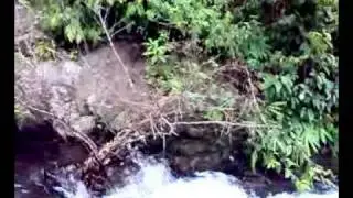 kodenchery..thusharagiri