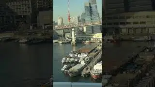 #fypシ゚viral #travel RAINBOW BRIDGE #japan #asmr #tokyo #train