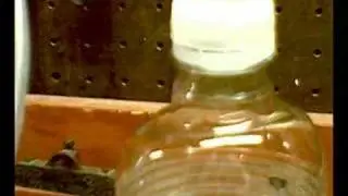 Homemade Biogas Generator