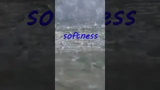 Aquarium Water problems?
