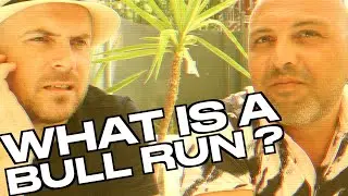 What is a BULL RUN in Crypto