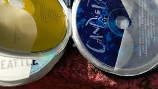 Found A CD Wallet on the Curb (November 6 2018)