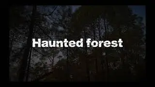 HAUNTED FOREST || Horror Short Film || New Horror Short Flim || #5pahadistars #shortfilm 