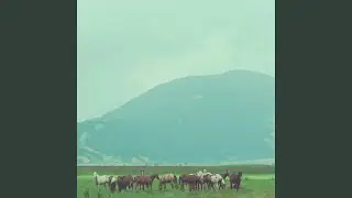 The Beginning of Wisdom