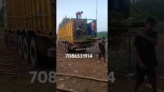 4 fit bamboo|| Assam to Bihar #wholesalemarket #bamboo #shortvideo #ytshorts #business #wholesale