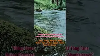 Seorang Manusia Didunia Fana#quotes #motivation #story #motivational #status