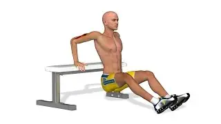Stærke arme: Triceps bench dips