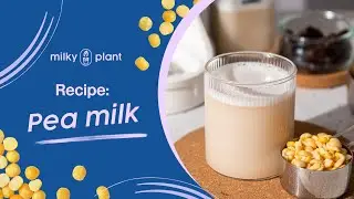 Quick and Easy: How to Make Pea Milk in 3 Minutes | Nutritious Homemade Plant-Based Milk Recipe 🌱🥛