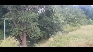 Beautiful Sceanary on train Kerala