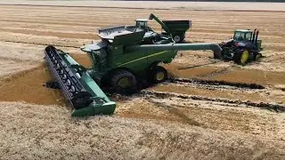Wheat Harvest 24 In The Mud