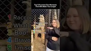Top 5 Funniest Zoo Moments That Will Make You Laugh!