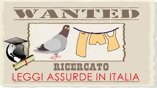 Leggi assurde italiane